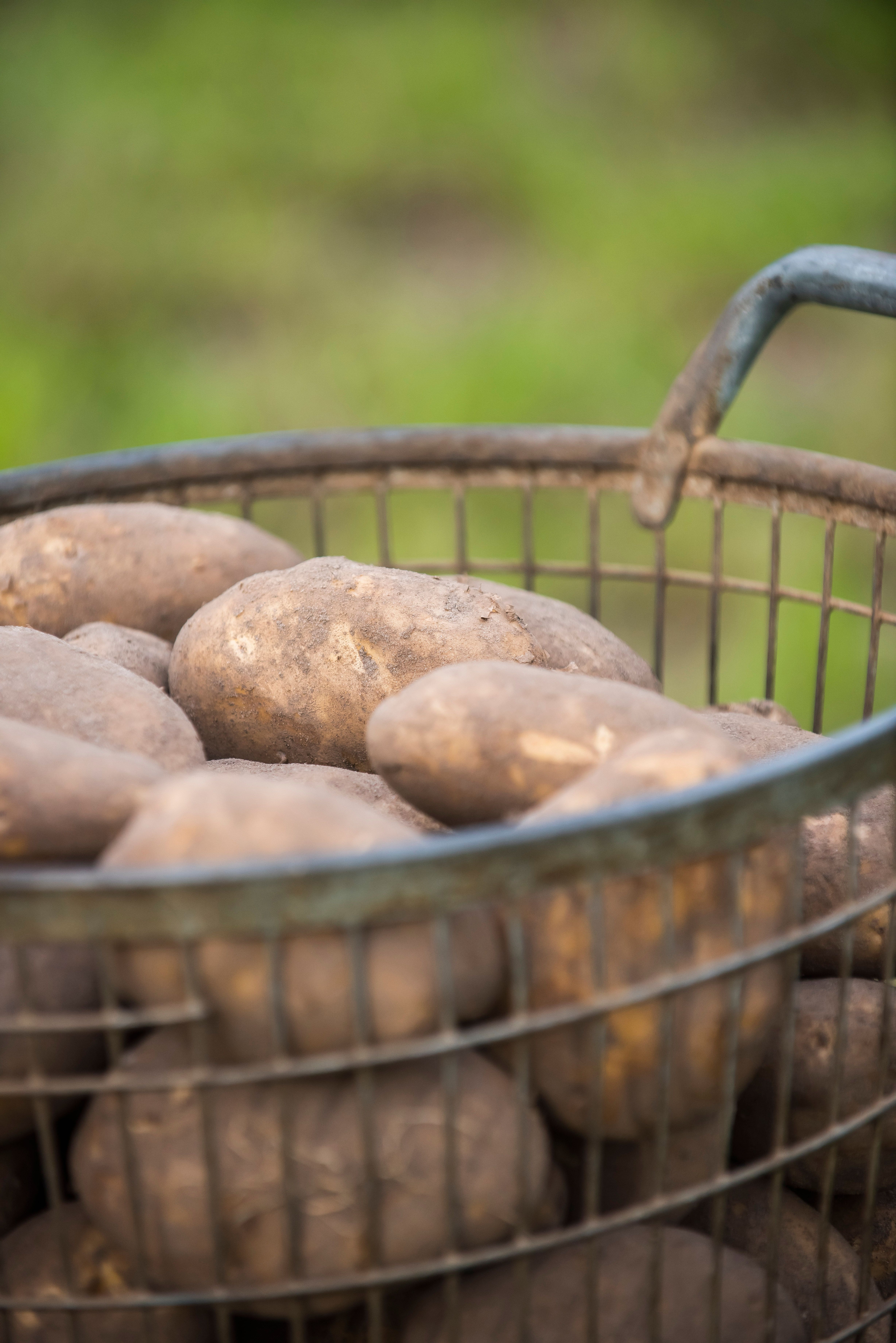 Aardappelen in een mandje